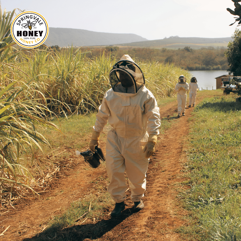 Springvale Bee Suits