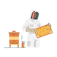 Beekeeping Services