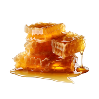 Raw Honey